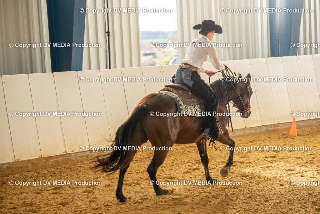 MIT00731 | dv-media-shop - Realisiert mit Pictrs.com