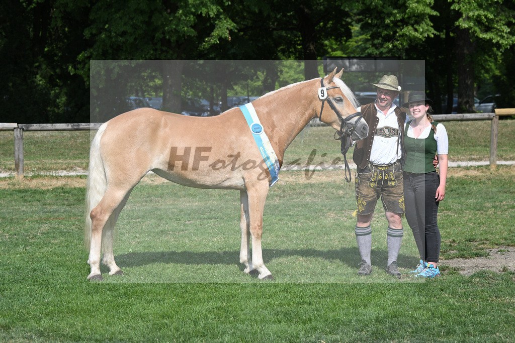 Kat-Nr. 9 Giorgia G_Grandauer_20231763 | hf-fotografie - Realisiert mit Pictrs.com