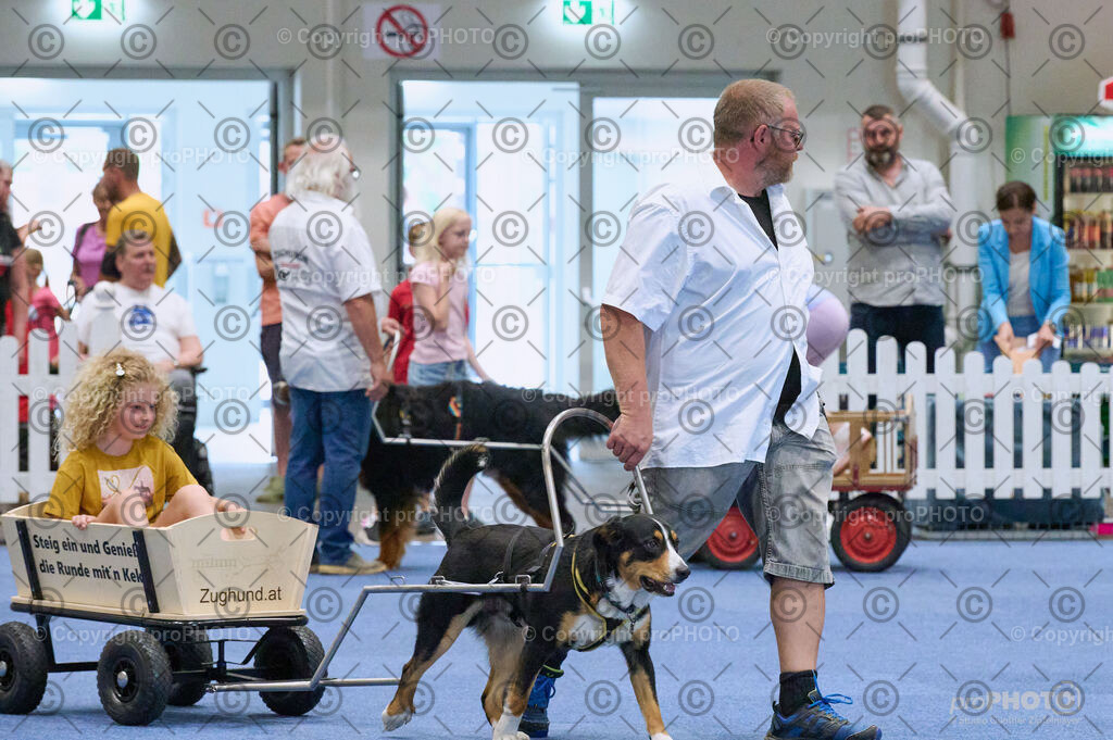 202406_ÖKV-IHA-Tulln24_DSC_4654 | proPHOTO - Realisiert mit Pictrs.com