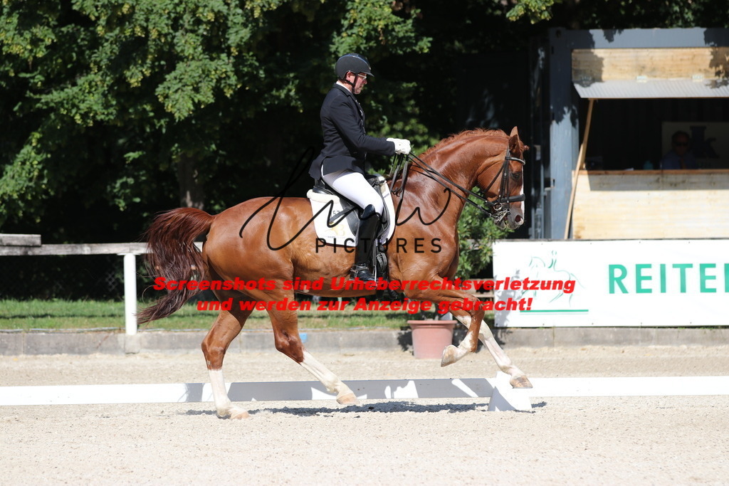 IMG_5456 | lmwpictures - Realisiert mit Pictrs.com