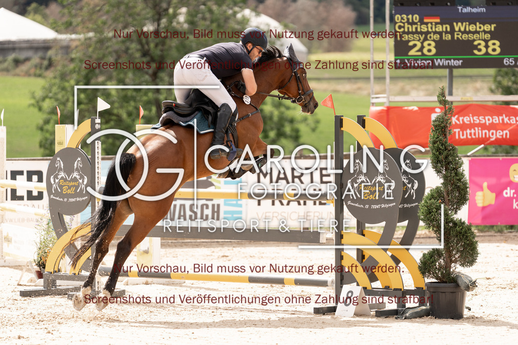 DSC06682 | Springturnier_Teamchallege_Talheim_2026, Christian_Weber, Tassy_de_la_Reselle