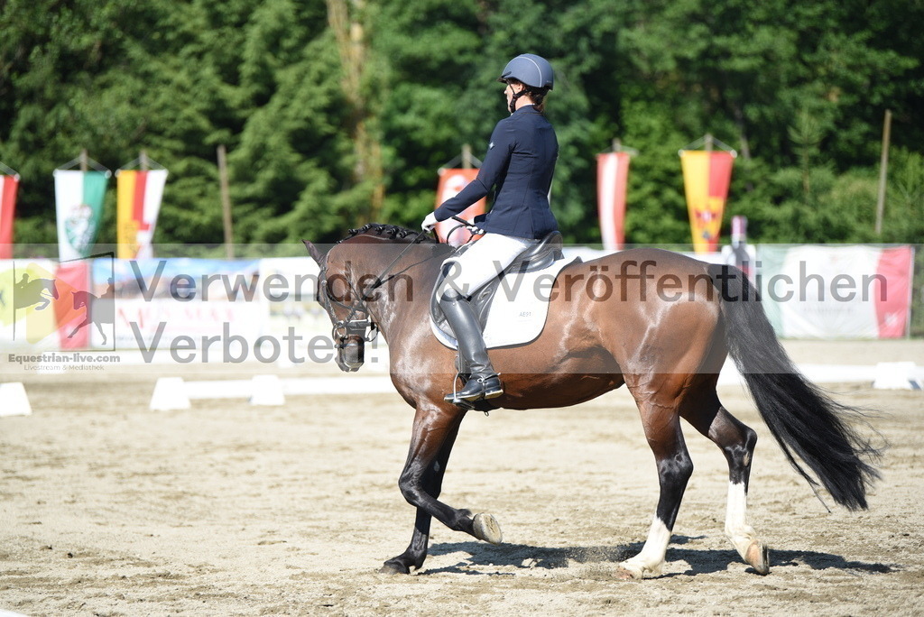 DSC_7783 | equestrian-live-com