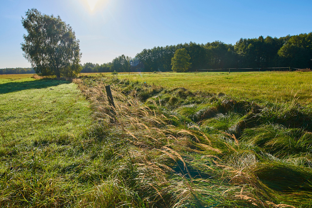 Schweißgraben Maasdorf 01 | Bedeutsame Landschaften Deutschlands - Realisiert mit Pictrs.com