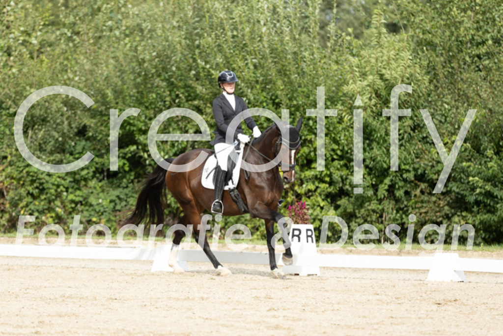 IMG_6484 | Creatify Fotografie