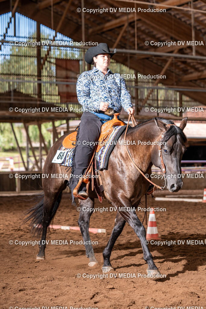 Erbach Tag 2-276 | dv-media-shop - Realisiert mit Pictrs.com