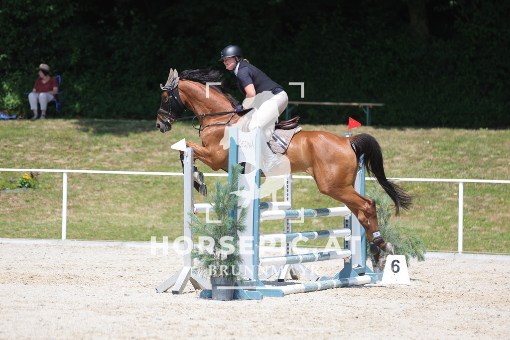 0P6A9517 | Willkommen bei Brunnmayr - Design & Fotografie – Ihrem Spezialisten für Reitturniere und Pferdeveranstaltungen in Oberösterreich, Salzburg und Bayern! Seit über 17 Jahren sind wir leidenschaftlich dabei.