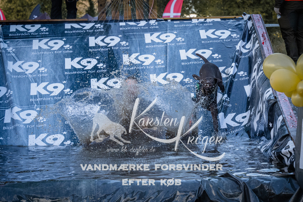 1511_ZZ94248 | kk-dogfotos