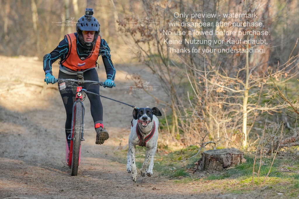 Sa_Scooter-8 | stephaniefillaphotographie - Realisiert mit Pictrs.com