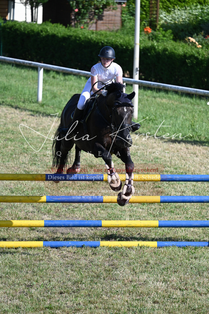 DSC_2493 | Pferde- und Turnierfotografie in Westsachsen. Pferdeportraits, Auftragszeichnungen und intuitive Kunst.