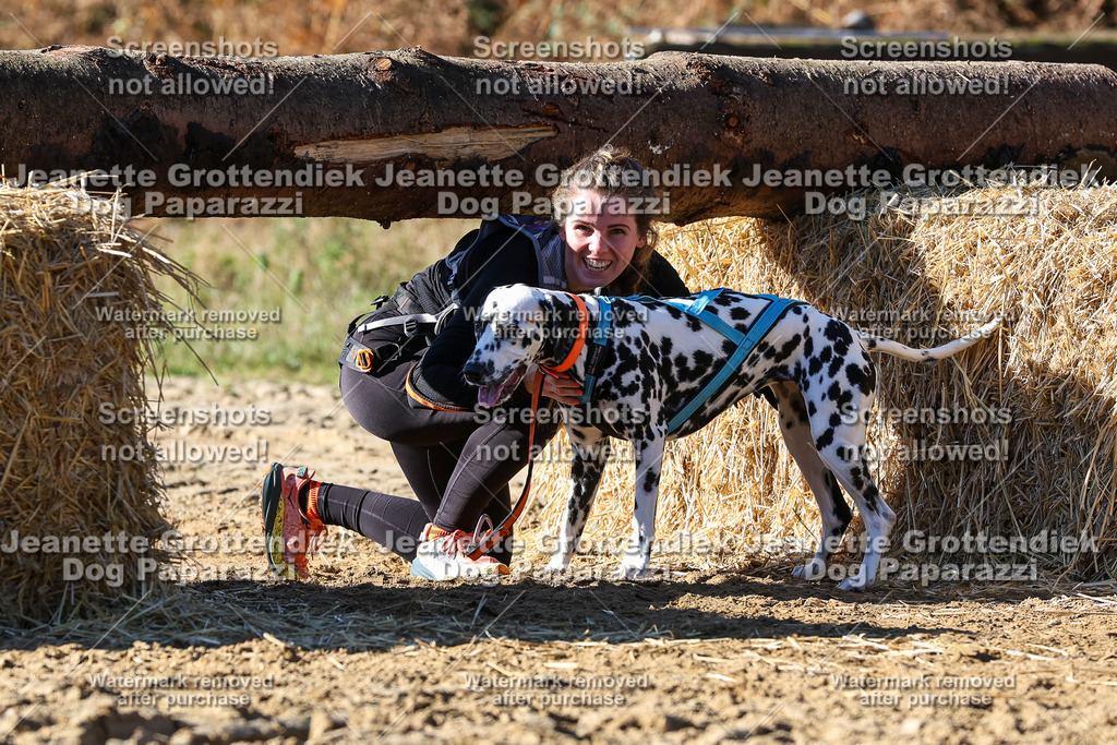 Dog Paparazzi - Strongdog 10-25-2766 | Dog Paparazzi Jeanette Grottendiek Fotografie & Videografie - Realisiert mit Pictrs.com