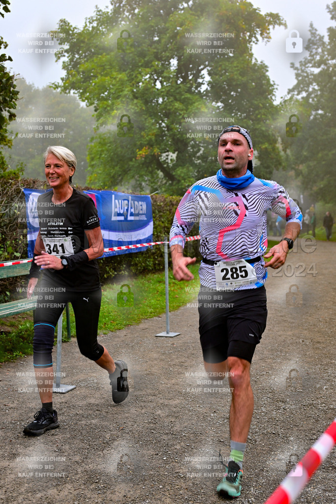 Z8N_1208 | la-psv - Realisiert mit Pictrs.com