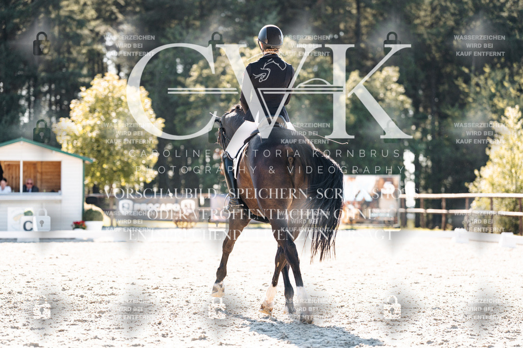 CK905802 | Turnierfotografie Pferdefotografie Trier Rheinland-Pfalz Pferdesport Reitsport Tierfotografie Sportfotografie Pferdevideo Pferdevideografie Equestrianvideography equestrianphotography  - Realisiert mit Pictrs.com