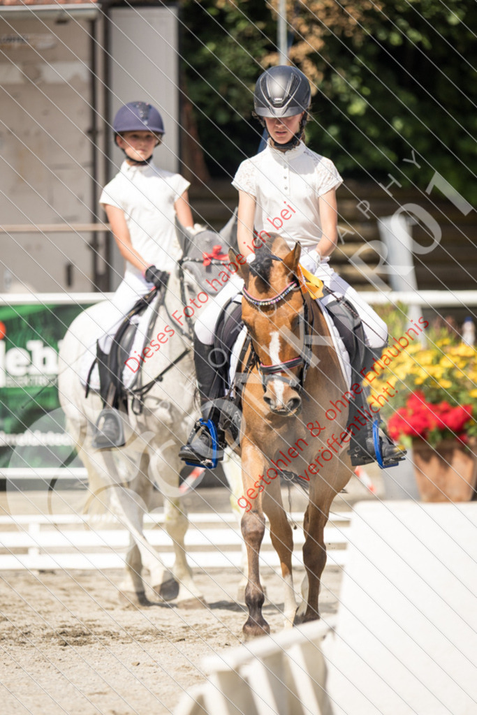 IMG_4963 | Sport-, Event- und Tierfotos in Profiqualität. Einfach auswählen, bestellen und herunterladen. Dein Moment – perfekt festgehalten.