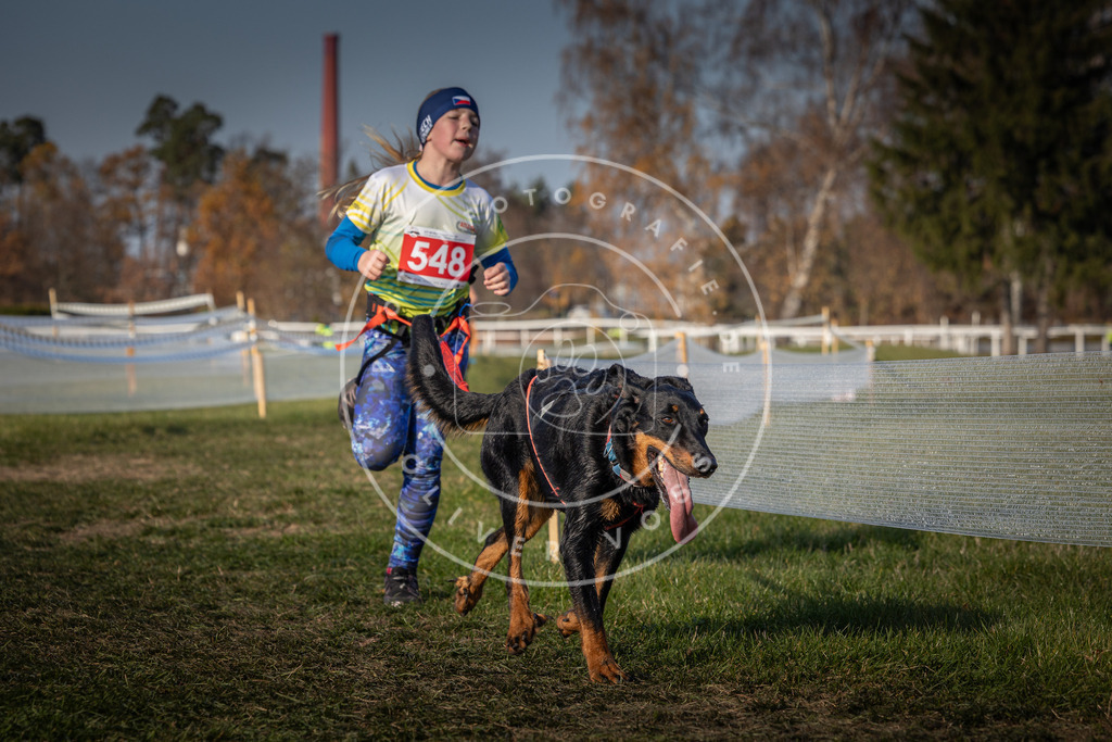 CaniXpix_0L8A9263 | Hundefotografie, Tierfotograf, Pfotenfotografie, Fotoshooting Hund, Hunde Portrait, Hundesport, Hundeportraits, Heideshooting, Hunde, Sportfotograf, Hundefotograf, Turnierhundsport, THS,  - Realisiert mit Pictrs.com
