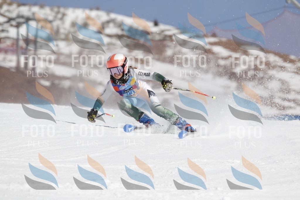 _U3G0151 | holidayphoto