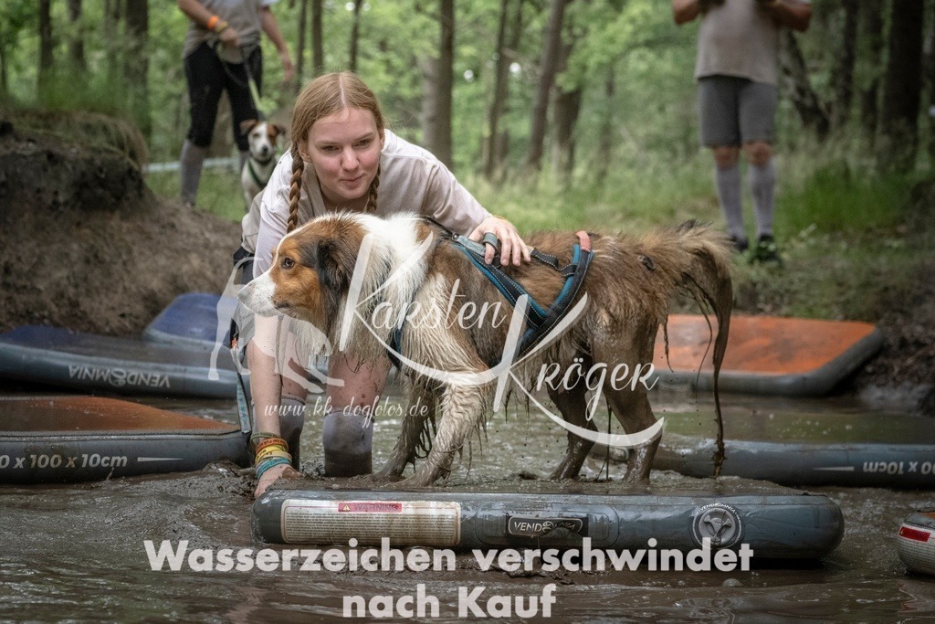 1213_ZZ97892T | kk-dogfotos
