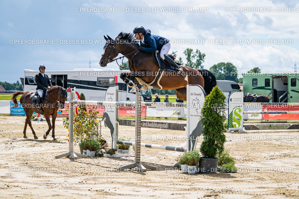 DSC05212 | Pferdegrafie