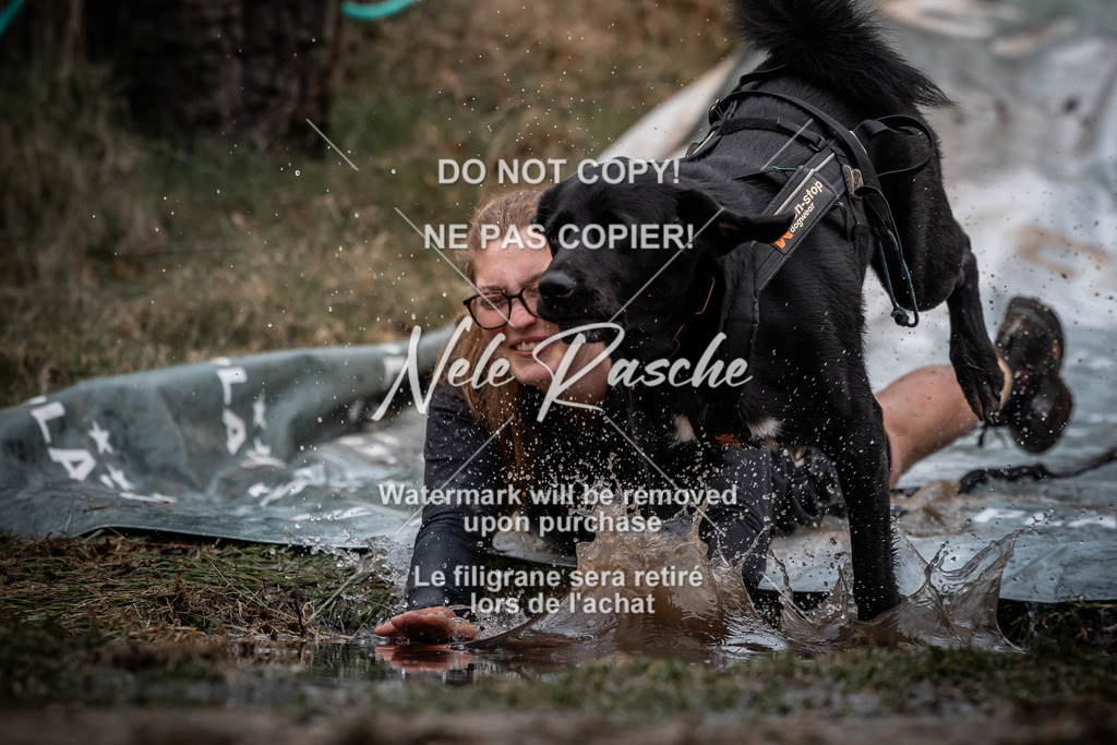 nelerasche_1100-1130_241 | nelerasche