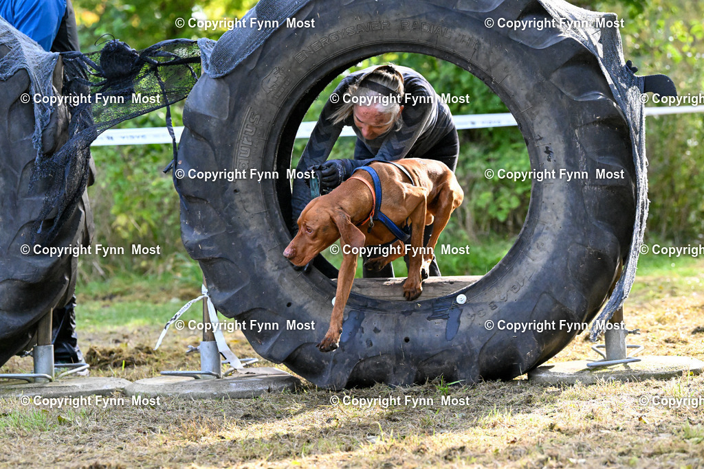 DSC_0935 | Hallo und herzlich Willkommen auf meiner Shop-Seite Fynn Most.

Ich wünsche Dir viel Spaß beim stöbern durch die Bilder, wenn Du Fragen hast oder Bilder vermisst, kannst du mir gerne eine Nachricht schreiben. - Realisiert mit Pictrs.com