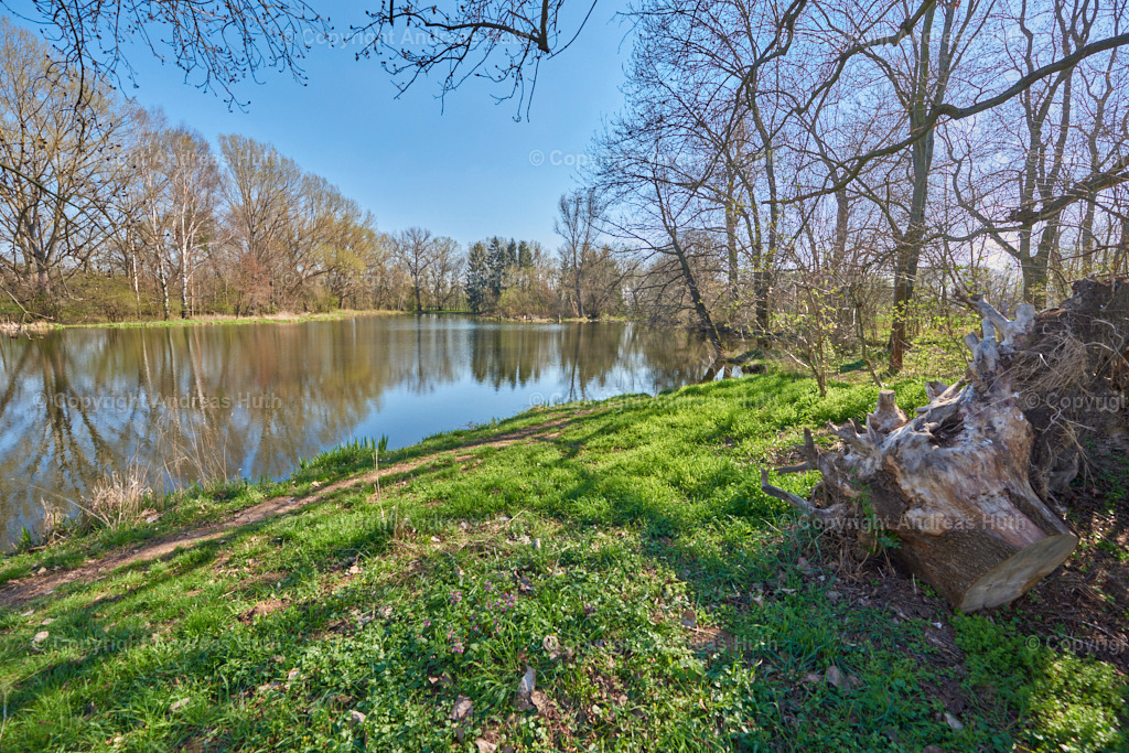 An einem Altarm der Weißen Elster bei Lützkewitz 01 | Bedeutsame Landschaften Deutschlands - Realisiert mit Pictrs.com