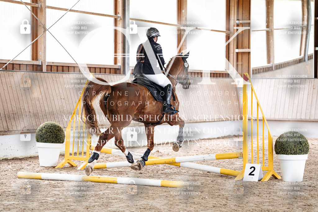 CK902647 | Turnierfotografie Pferdefotografie Trier Rheinland-Pfalz Pferdesport Reitsport Tierfotografie Sportfotografie Pferdevideo Pferdevideografie Equestrianvideography equestrianphotography  - Realisiert mit Pictrs.com