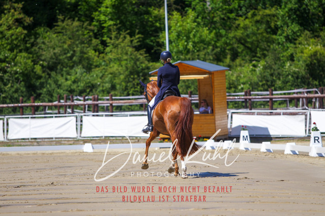 DKP42282 | Turniersportfotografie; Pferdefotografie; Dressurfotografie