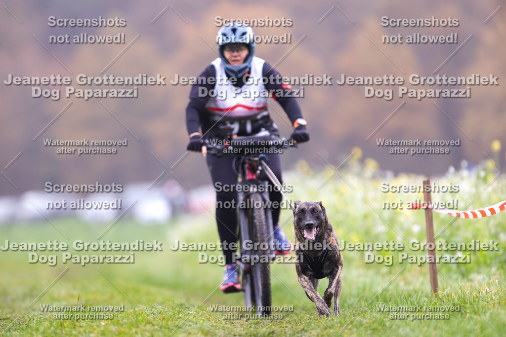 Dog Paparazzi - Visbeck 25 -204 | Dog Paparazzi Jeanette Grottendiek Fotografie & Videografie - Realisiert mit Pictrs.com