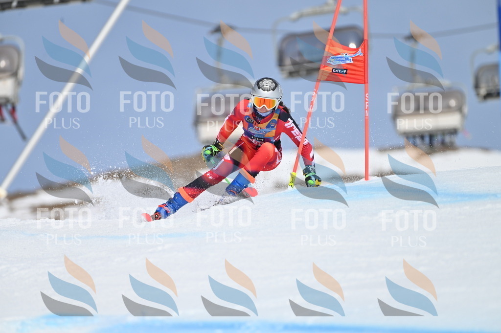 BGV_0605 | holidayphoto