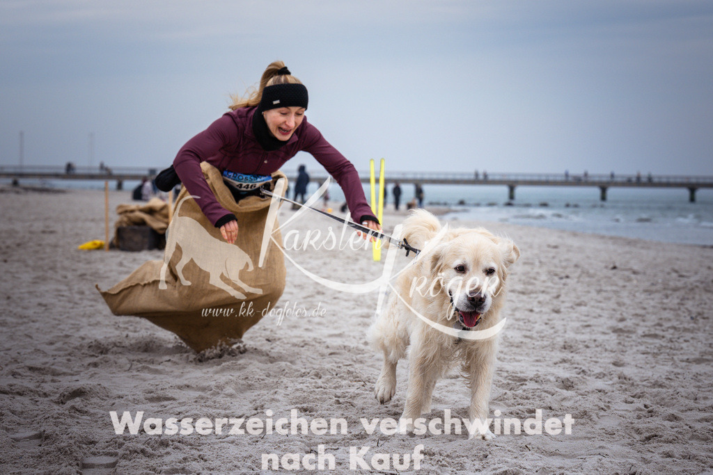 1227_ZZ94255 | kk-dogfotos