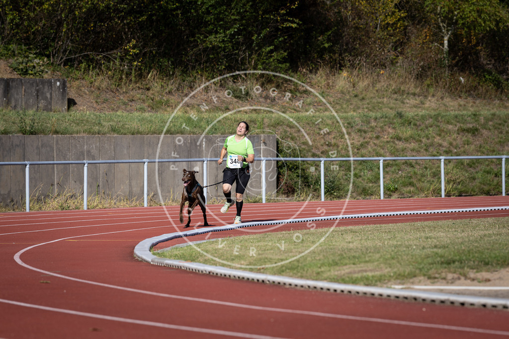 Pfotenfotografie_DV3A8726 | Hundefotografie, Tierfotograf, Pfotenfotografie, Fotoshooting Hund, Hunde Portrait, Hundesport, Hundeportraits, Heideshooting, Hunde, Sportfotograf, Hundefotograf, Turnierhundsport, THS,  - Realisiert mit Pictrs.com