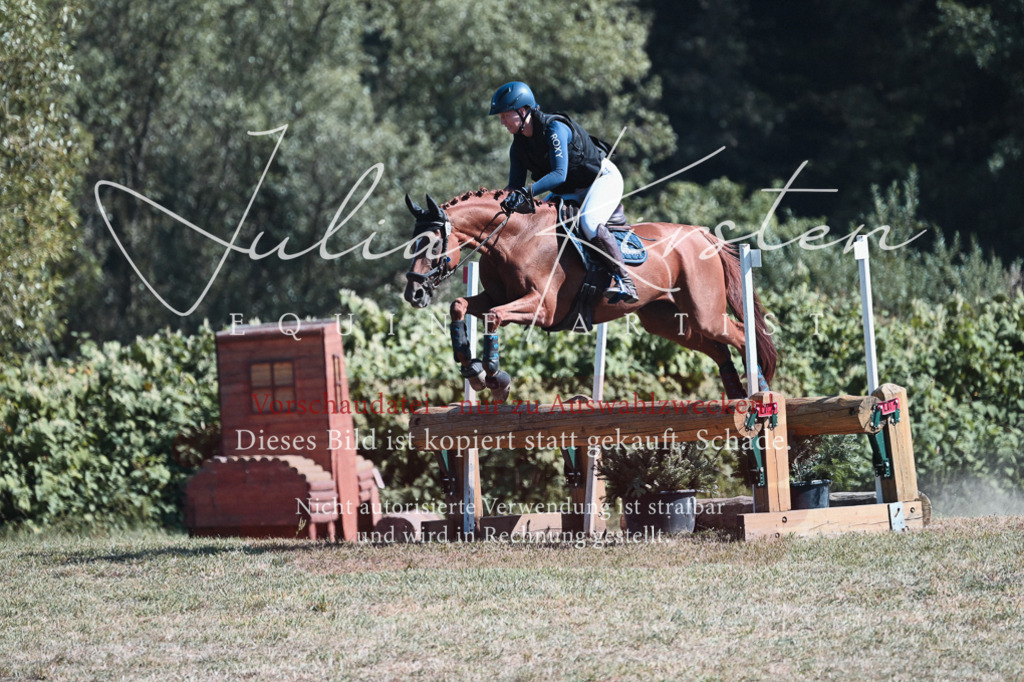 DSC_8512 | Pferde- und Turnierfotografie in Westsachsen. Pferdeportraits, Auftragszeichnungen und intuitive Kunst.