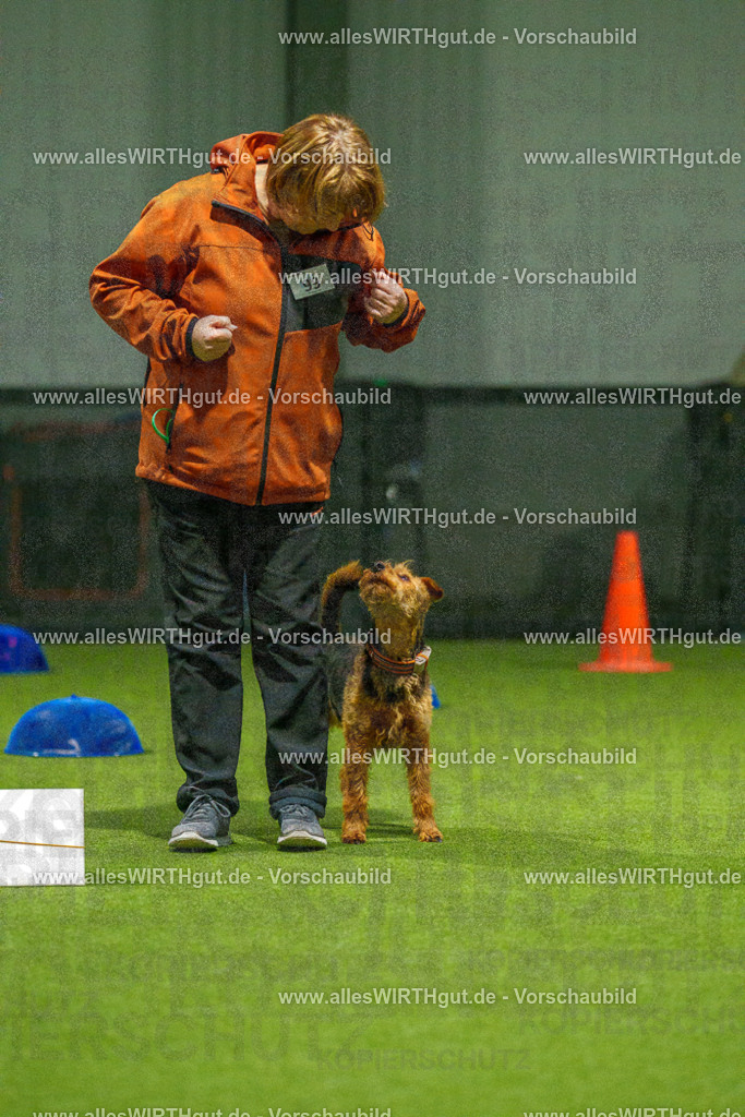 7R509207 | Professionelle Tierfotografie in Mönchengladbach von Daniel Wirth (allesWIRTHgut). Liebevolle & natürliche Bilder von Hunden & Katzen für unvergessliche Erinnerungen.