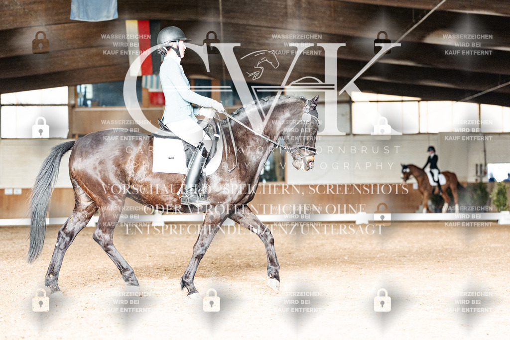 CK903201 | Turnierfotografie Pferdefotografie Trier Rheinland-Pfalz Pferdesport Reitsport Tierfotografie Sportfotografie Pferdevideo Pferdevideografie Equestrianvideography equestrianphotography  - Realisiert mit Pictrs.com