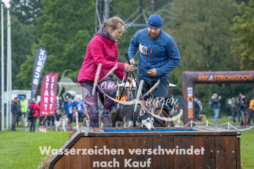 1213--2 | kk-dogfotos