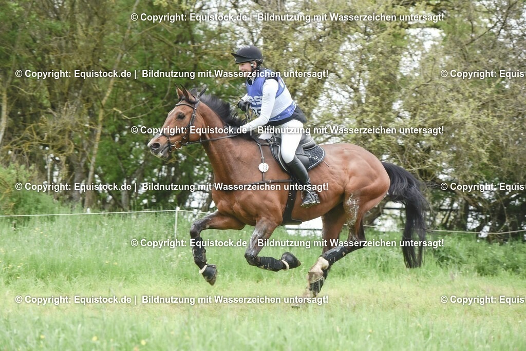 20230513_CCI4_Gelände_0318 | equistock