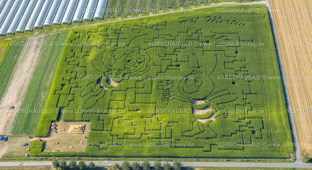 Dortmund240804572-2 | Luftbild, Wiese und Feld mit Muster und Kunstwerk Biene Maja und Willi Figuren, Hof Mertin Bönninghauser Straße, Formen und Farben, Hostedde, Dortmund, Ruhrgebiet, Nordrhein-Westfalen, Deutschland