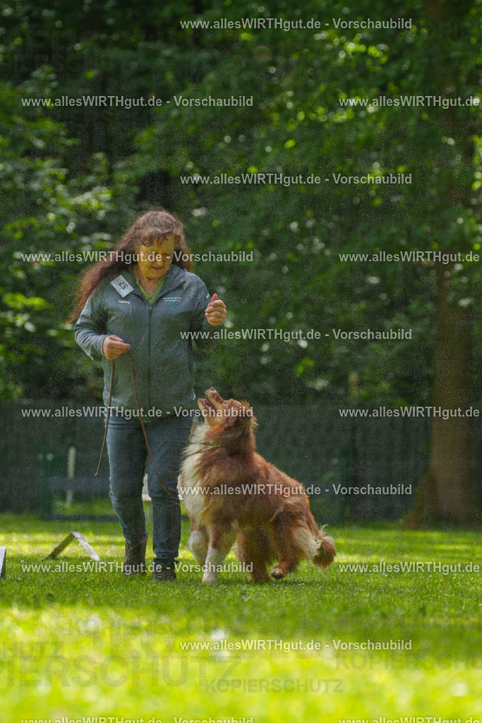 @allesWIRTHgut_Tierfotografie - www.allesWIRTHgut.de - 7R500813 | Professionelle Tierfotografie in Mönchengladbach von Daniel Wirth (allesWIRTHgut). Liebevolle & natürliche Bilder von Hunden & Katzen für unvergessliche Erinnerungen.