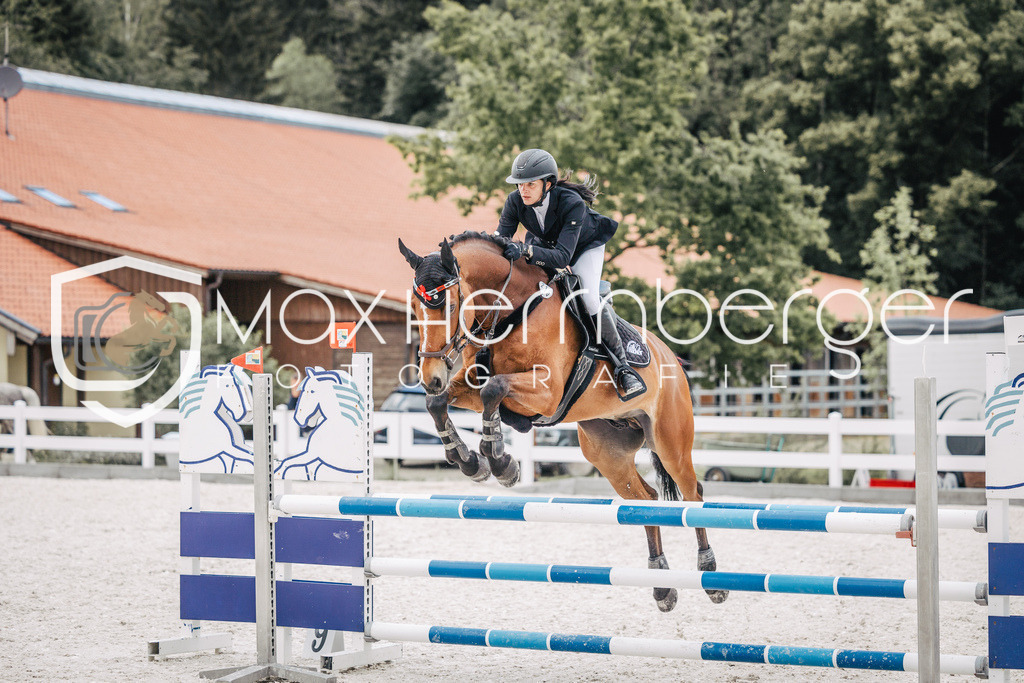 Bohmerhof-Sp-6083 | max-herrnberger