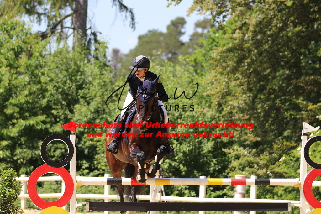 IMG_2611 | lmwpictures - Realisiert mit Pictrs.com