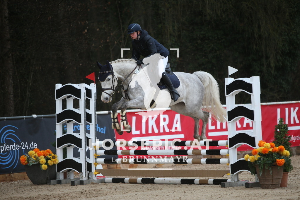 AS8V9078 | Willkommen bei Brunnmayr - Design & Fotografie – Ihrem Spezialisten für Reitturniere und Pferdeveranstaltungen in Oberösterreich, Salzburg und Bayern! Seit über 17 Jahren sind wir leidenschaftlich dabei.