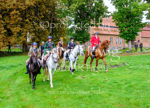 Jagd Kletkamp 26-9464_MarinaHewig | Fotografie, FotoArt, PferdesportArt, Pferdesportfotografie, Landschaftsfotografie, Reisefotografie, Reise, Pferde - Realisiert mit Pictrs.com