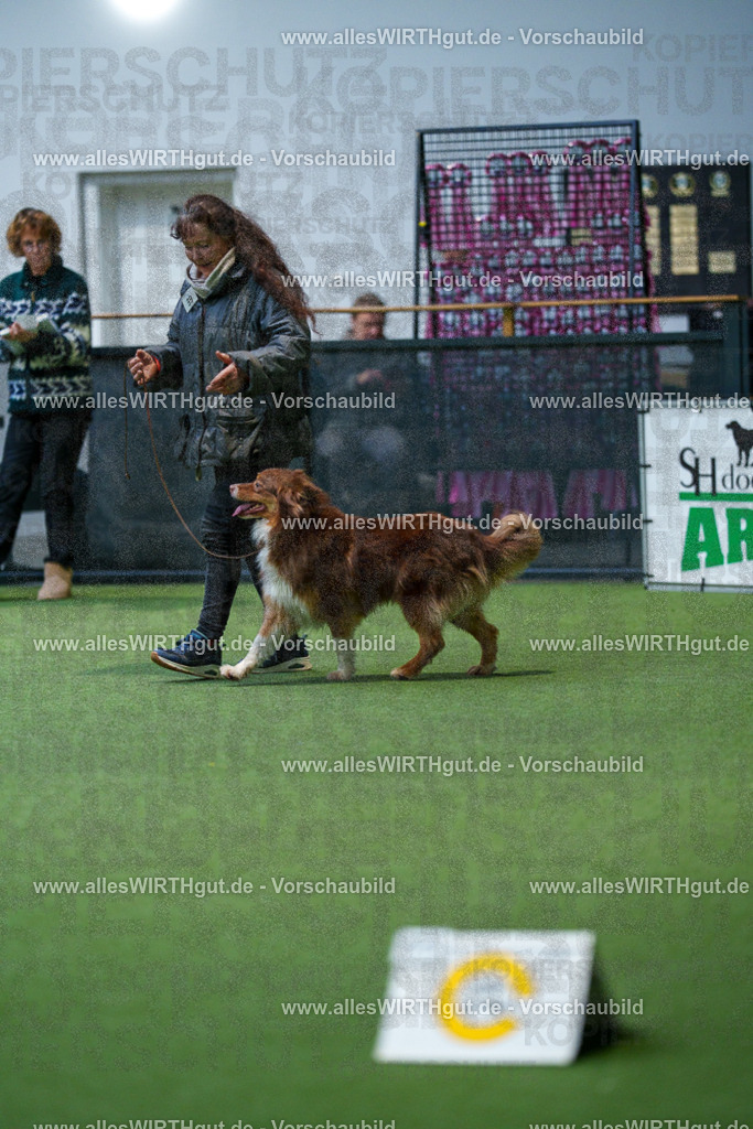 7R506194 | Professionelle Tierfotografie in Mönchengladbach von Daniel Wirth (allesWIRTHgut). Liebevolle & natürliche Bilder von Hunden & Katzen für unvergessliche Erinnerungen.