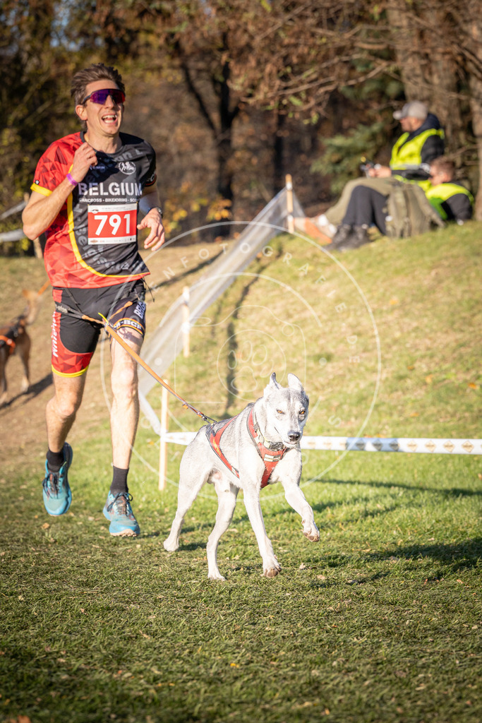 CaniXpix_0L8A0264 | Hundefotografie, Tierfotograf, Pfotenfotografie, Fotoshooting Hund, Hunde Portrait, Hundesport, Hundeportraits, Heideshooting, Hunde, Sportfotograf, Hundefotograf, Turnierhundsport, THS,  - Realisiert mit Pictrs.com