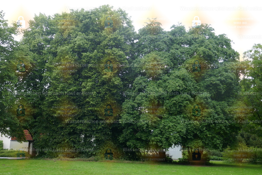 P1110026 | Fotoseite Wolkenblende - Das Hobby fotografieren begleitet mich schon  viele  Jahre. Auf den nächsten Seiten zeige ich ein paar Schnappschüsse der letzten Jahre und es kommen immer neue hinzu. Schau einfach mal rein. - Realisiert mit Pictrs.com