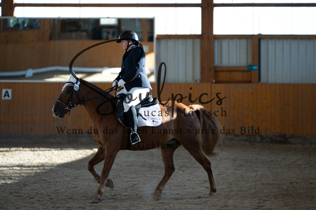 A7V01736 | Turnier/Reitfotograf