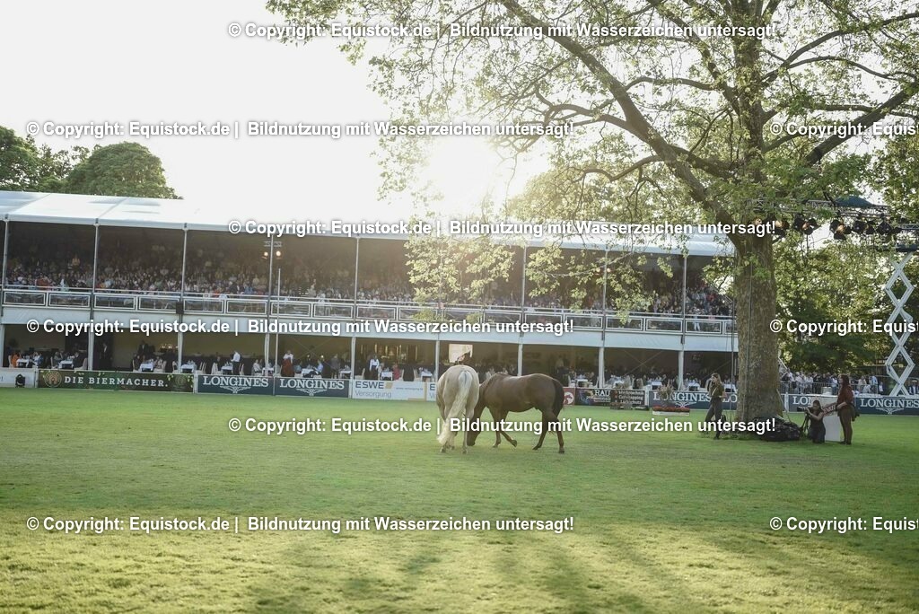 20230526_Impressionen_0330 | equistock