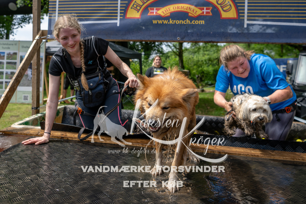 1117_ZZ93643 | kk-dogfotos