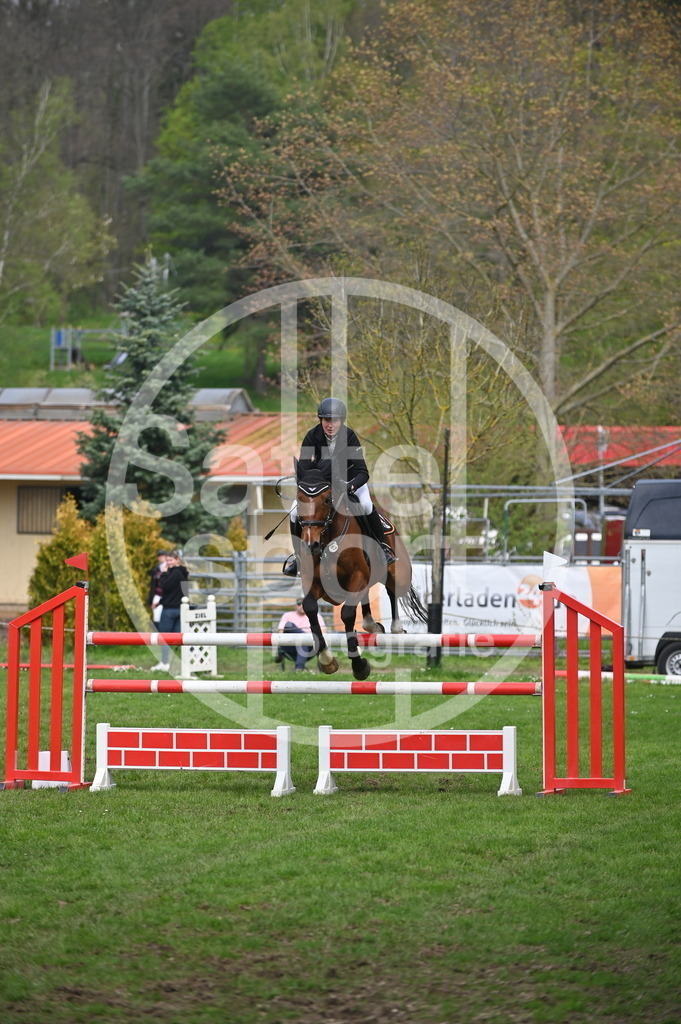 DSC_3739 | sattelsport - Realisiert mit Pictrs.com