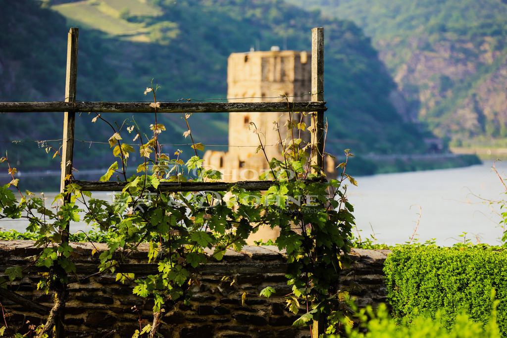 Oberwesel-9473 | Blick vom Pfarrgarten auf den Ochsenturm und den Rhein Der Ochsenturm ist der größte von 16 Türmen in Oberwesel. - Realisiert mit Pictrs.com