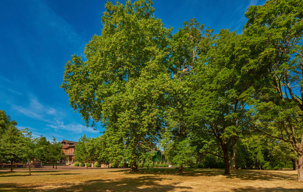 Der Herrenkrugpark Magdeburg_ 184 BedLasch | Fotos als Raumschmuck - Realisiert mit Pictrs.com